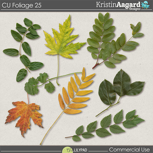 CU Foliage 25