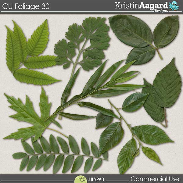 CU Foliage 30
