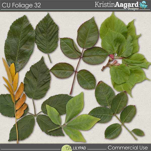 CU Foliage 32
