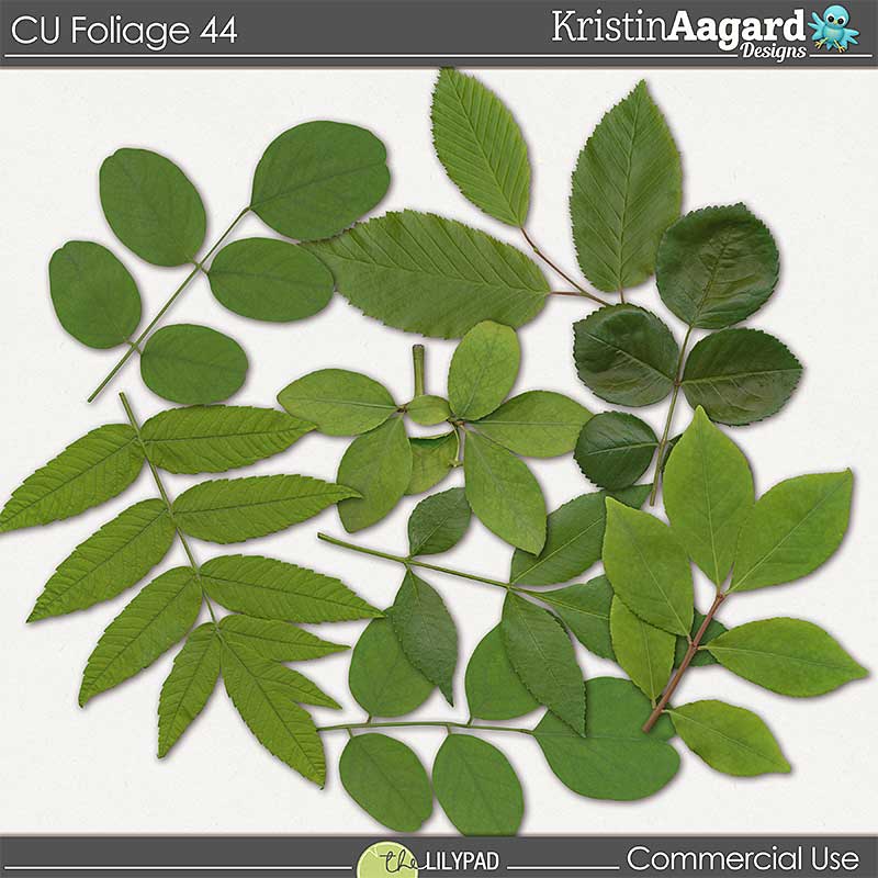 CU Foliage 44