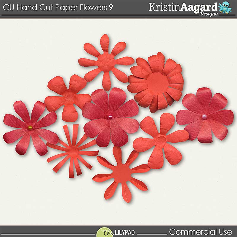 CU Hand Cut Paper Flowers 9 - Image 2