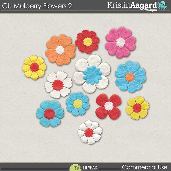CU Mulberry Flowers 2