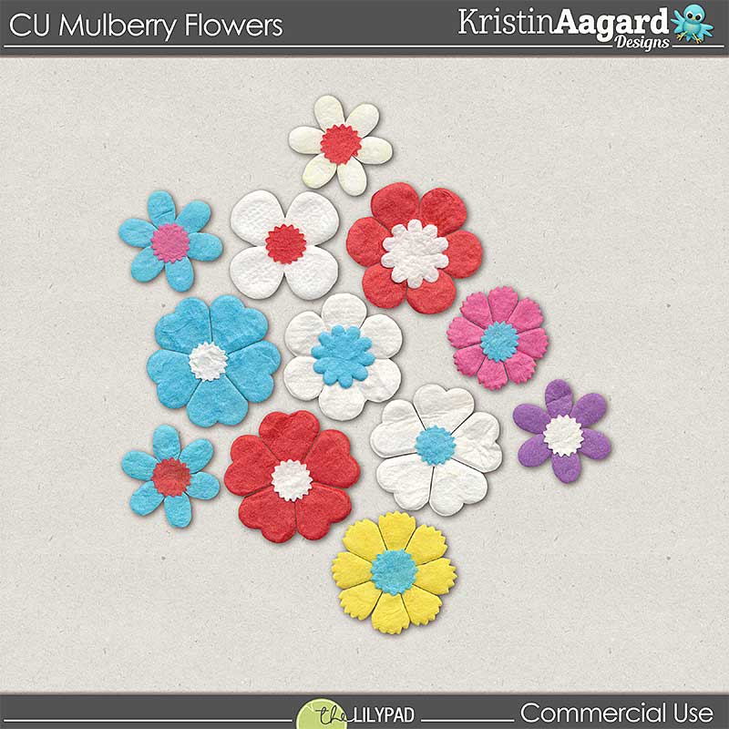 CU Mulberry Flowers - Image 2