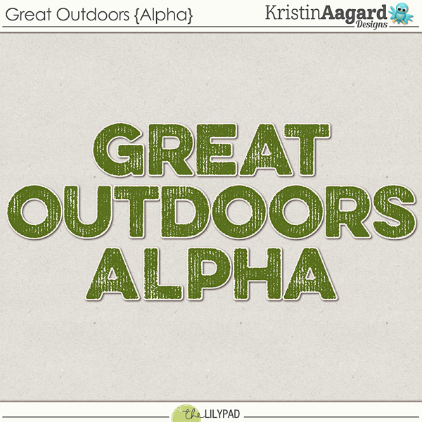 Camp Out - Image 10