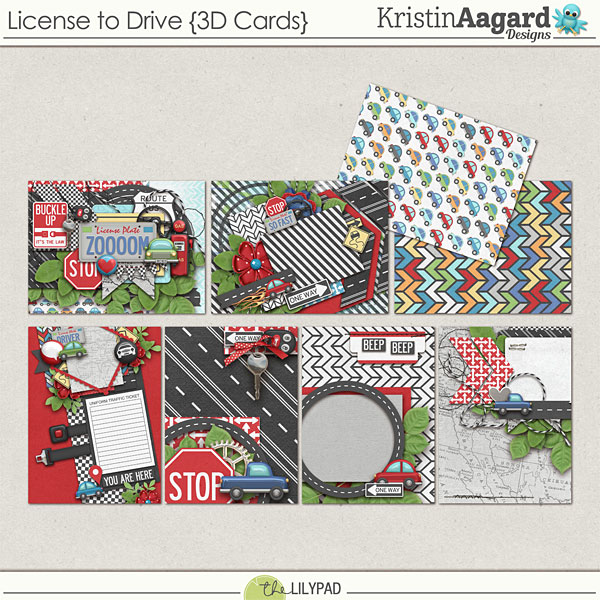 License to Drive {3D Cards}