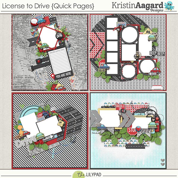 License To Drive Quick Pages