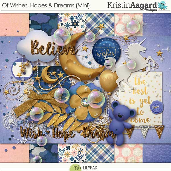 Of Wishes Hopes & Dreams