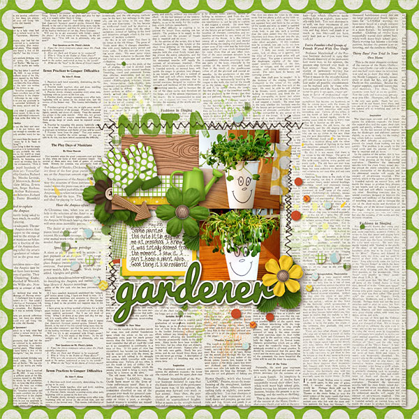 Veggie Garden - Image 4
