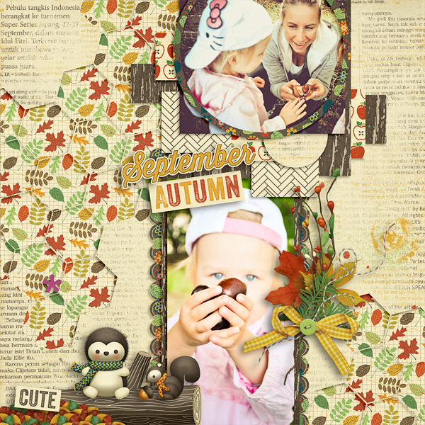 Woodland Autumn - Image 7