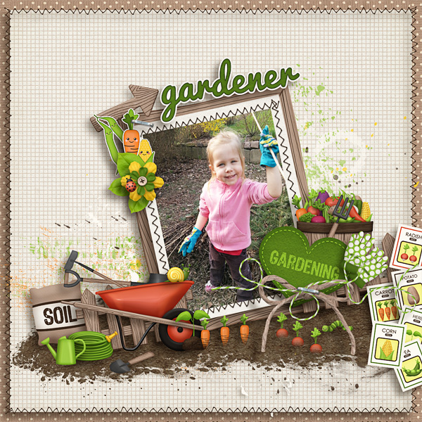 Veggie Garden - Image 5