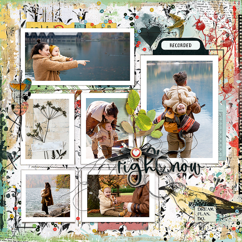 My New Life Kit by Studio Basic and Lynn Grieveson - Image 8