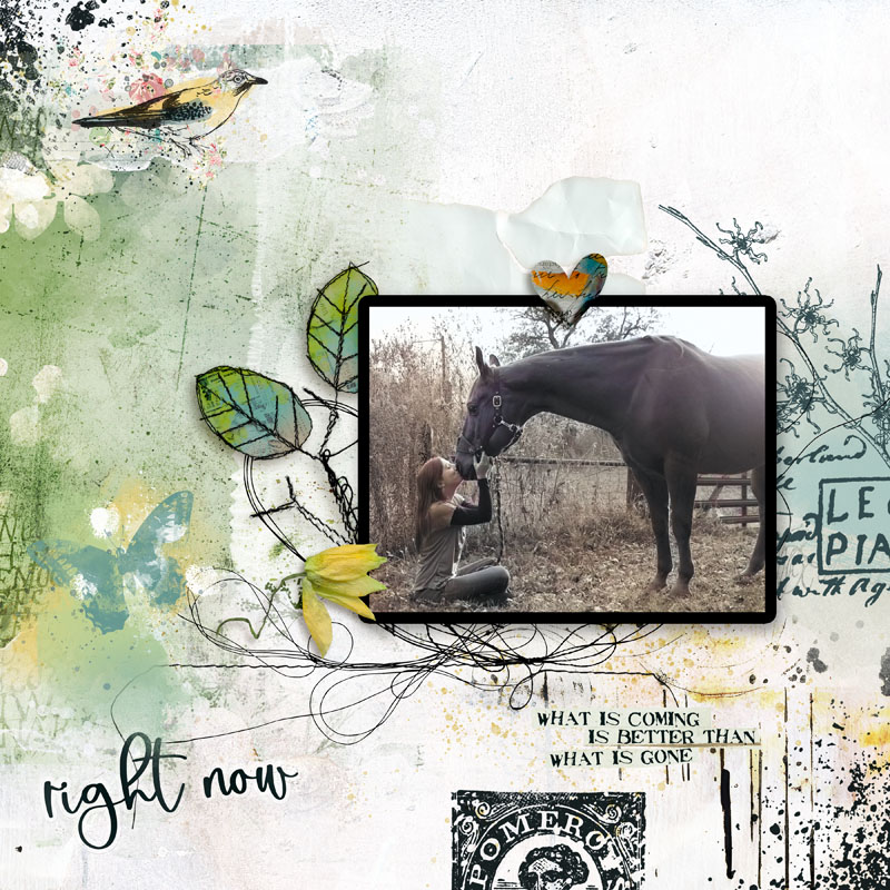 My New Life Kit by Studio Basic and Lynn Grieveson - Image 9