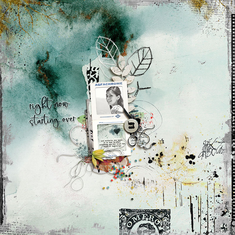 My New Life Journal Cards by Studio Basic and Lynn Grieveson - Image 5