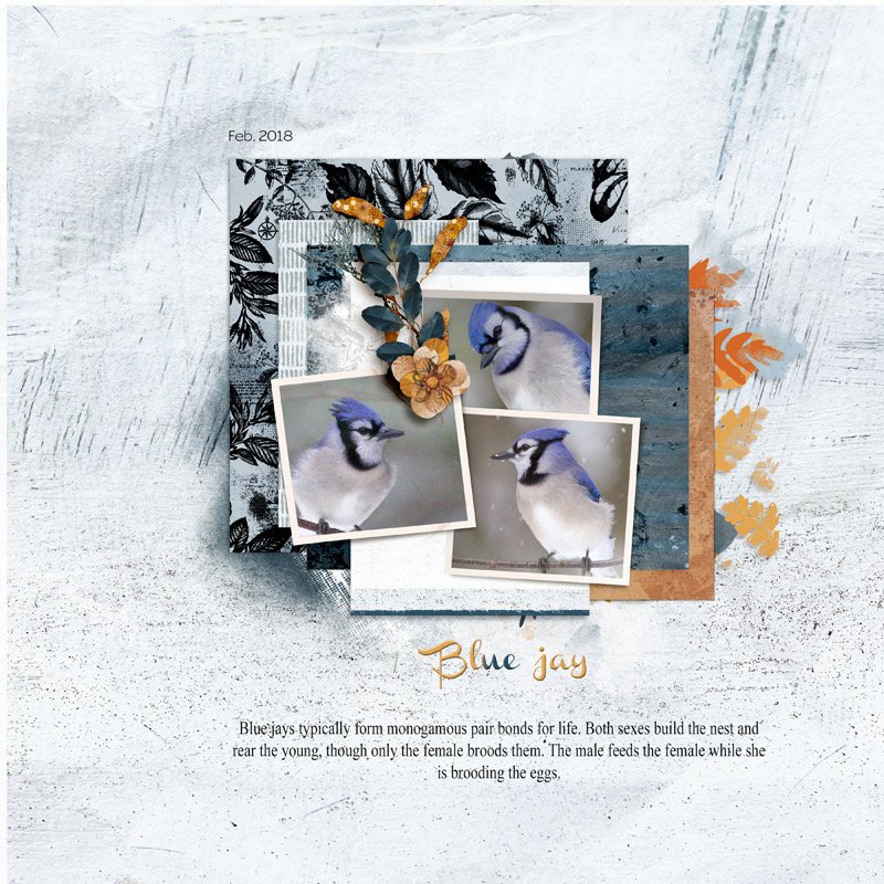 November Digital Scrapbooking templates by Buzzbee Scraps and Lynn Grieveson - Image 4