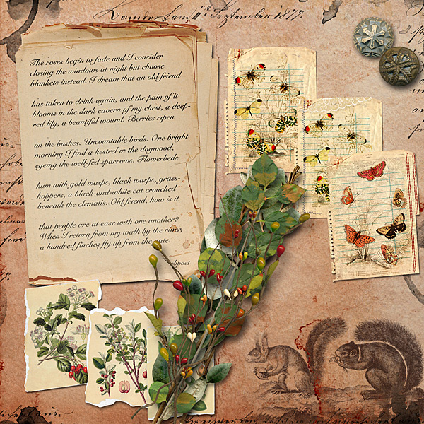 Autumnal Days - Image 5