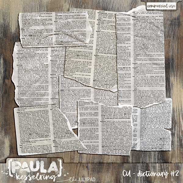 CU - Dictionary #2