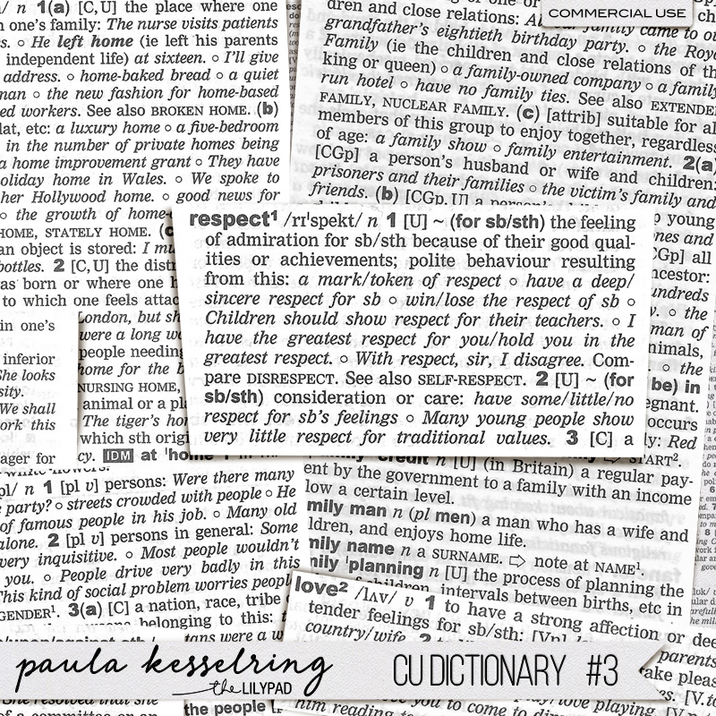 CU - Dictionary #3 - Image 4