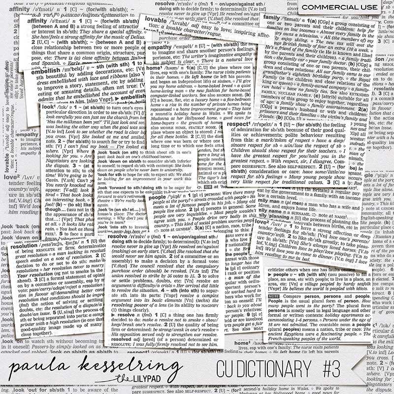 CU - Dictionary #3 - Image 5