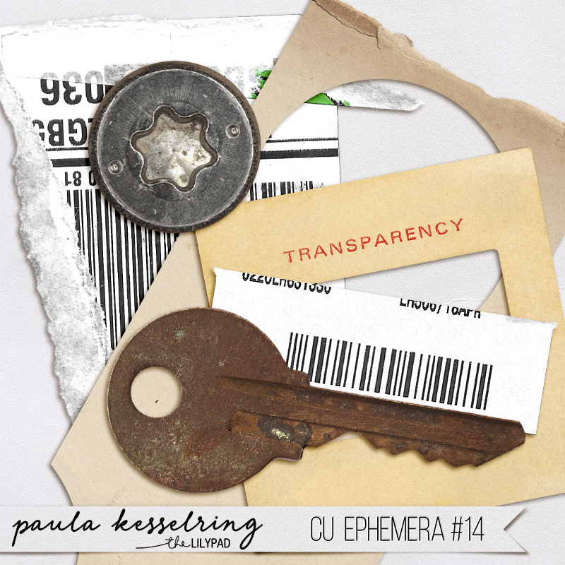 CU - Ephemera #14 - Image 3