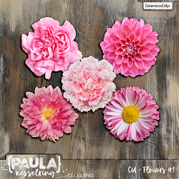 CU - Flowers #1 - Image 2