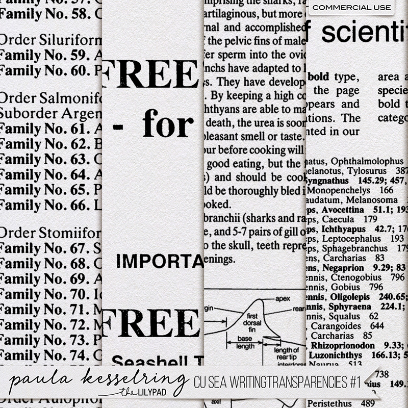 CU - Sea Writing Transparencies #1 - Image 2
