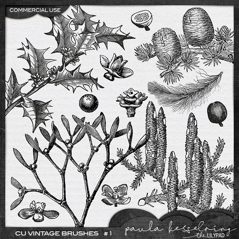 CU - Vintage Brushes #1 - Image 2