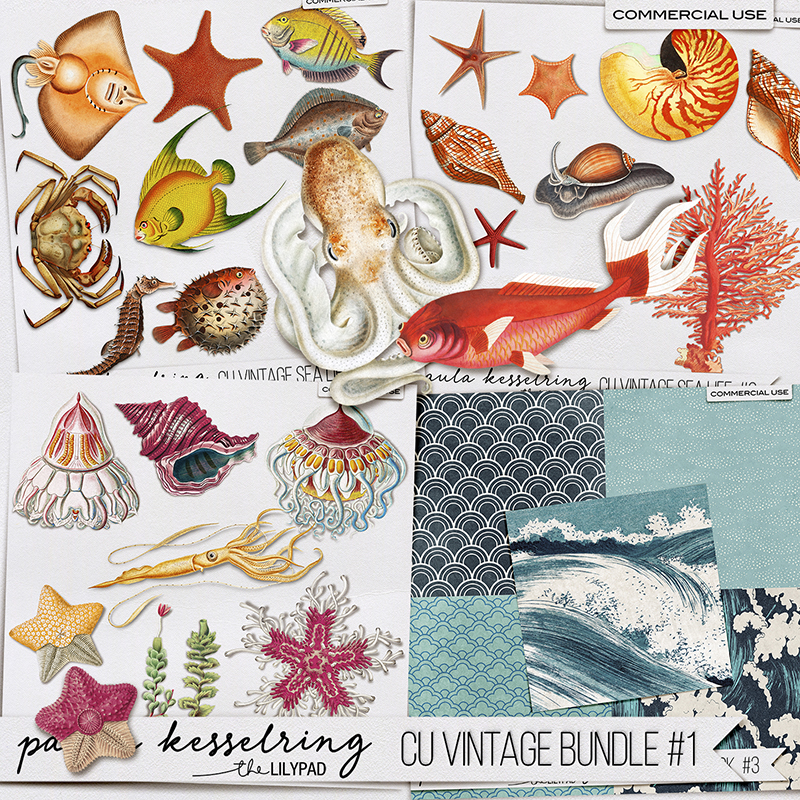 CU - Vintage Bundle #1