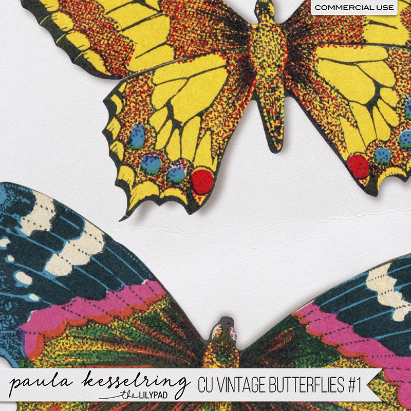 CU - Vintage Butterflies #1 - Image 2