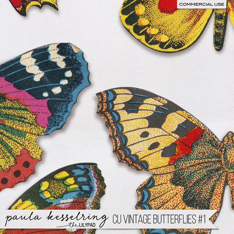 CU - Vintage Butterflies #1 - Image 3