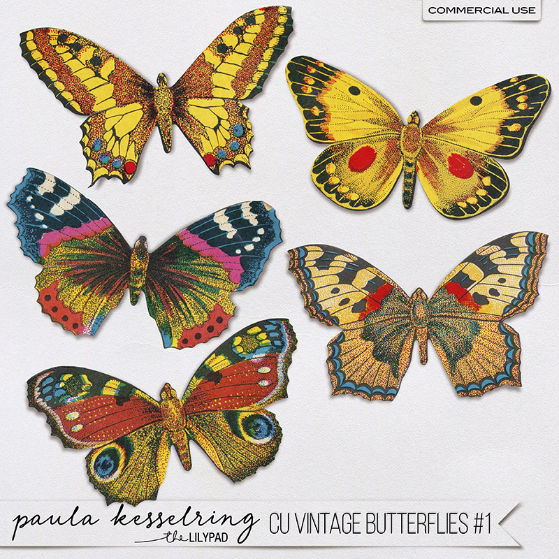 CU - Vintage Butterflies #1 - Image 4