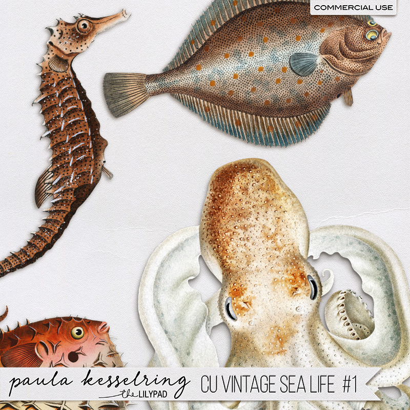 CU - Vintage Bundle #1 - Image 8