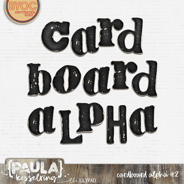 Cardboard Alpha #2