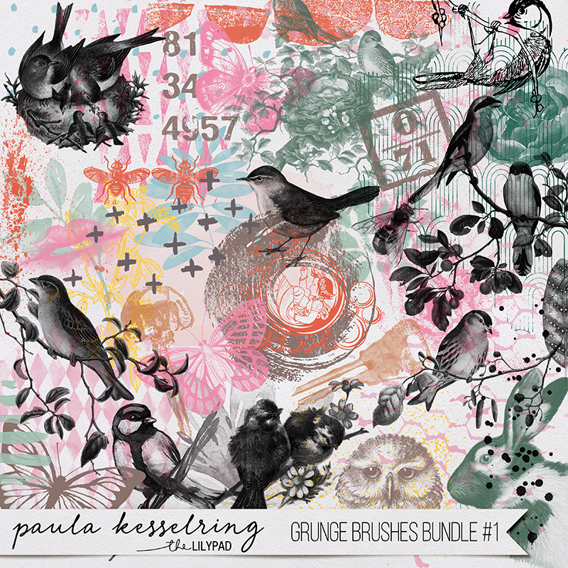 Grunge Brushes Bundle #1