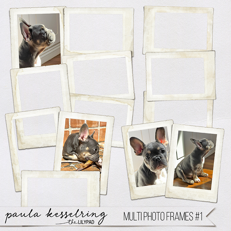 Multi Photo Frames #1