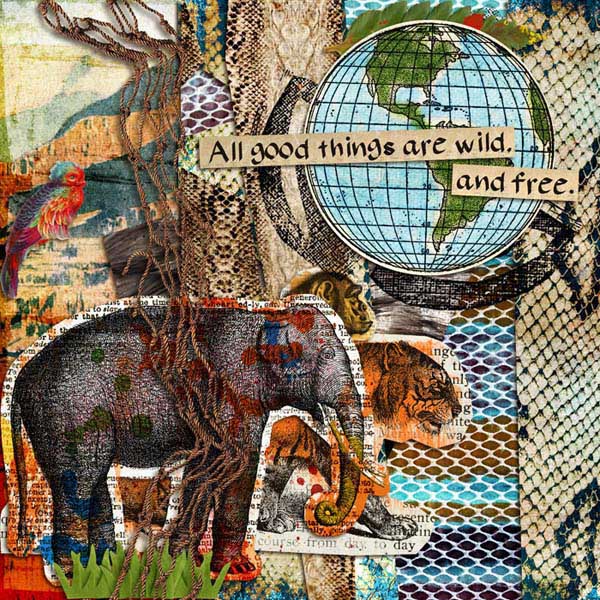 Wild Thing - Image 7