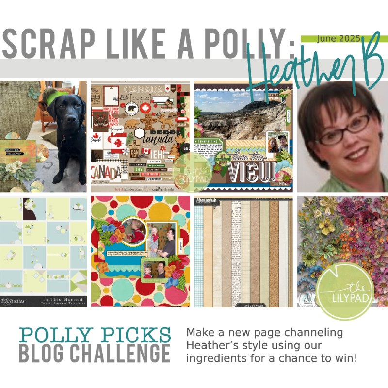 Polly Picks: Scrap Like HeatherB Challenge!
