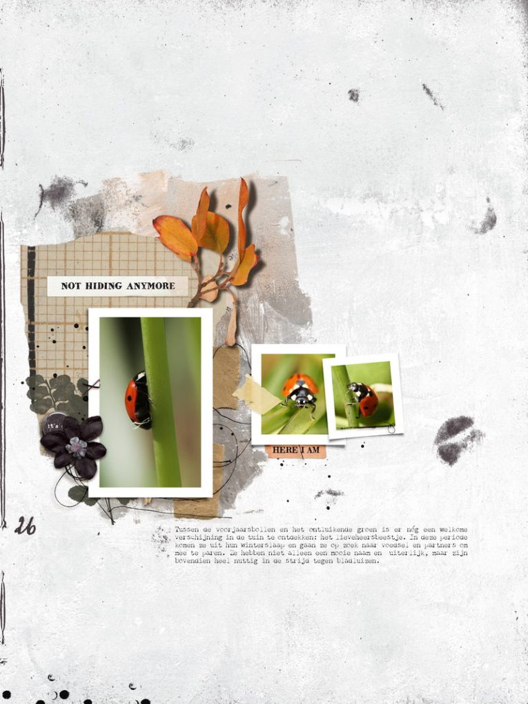 Hear My Voice 12 Masking Digital Scrapbooking Templates - Image 9