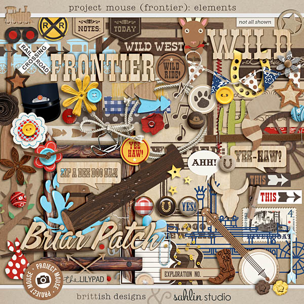 Project Mouse (Frontier): Elements