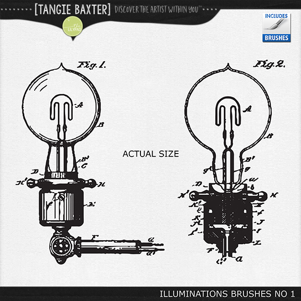 Illuminations Brushes No. 1 - Image 2