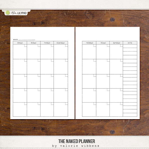 The Naked Planner - Image 3