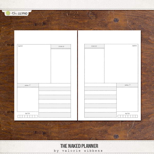 The Naked Planner - Image 4