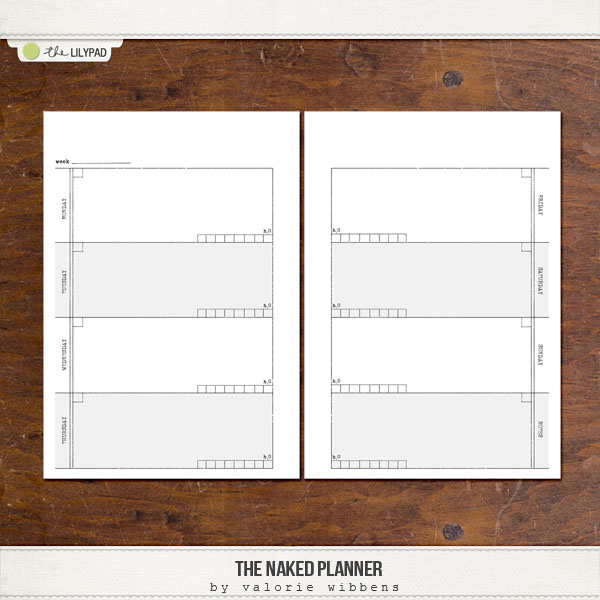 The Naked Planner - Image 5
