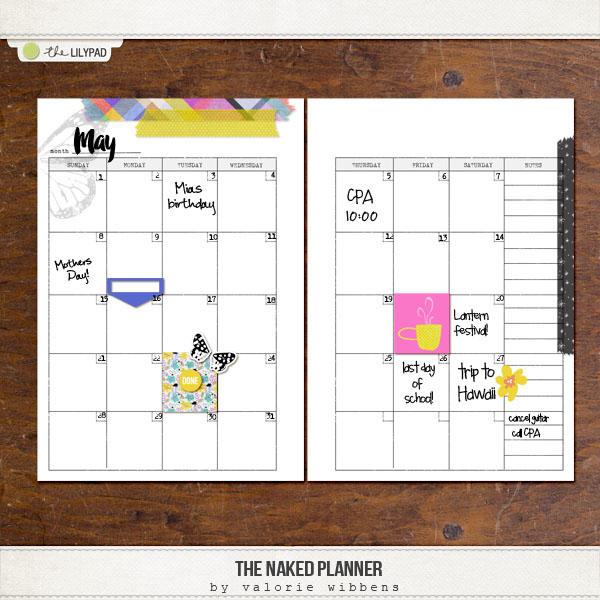 The Naked Planner - Image 6