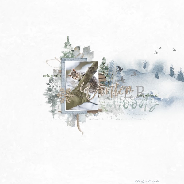 Winter in the Woods - Image 10
