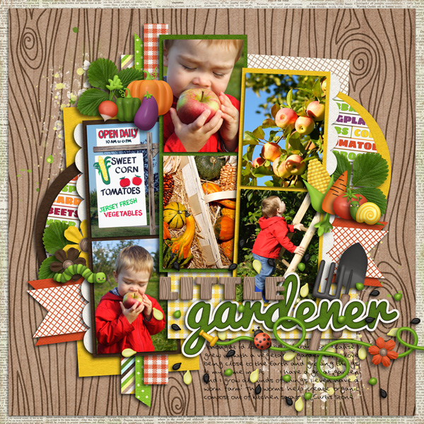 Veggie Garden - Image 2