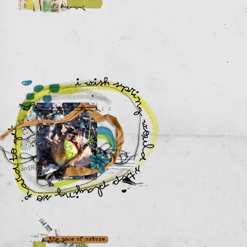 Stampalicious | Viridian Template Set - Image 5