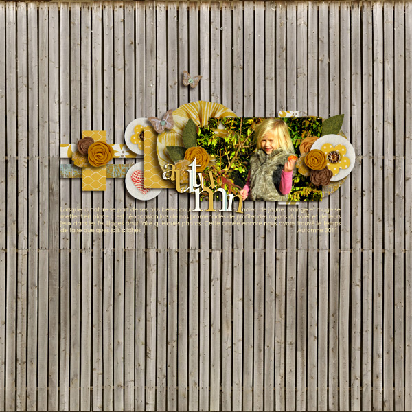 autumn afternoon: felt flowers - Image 3
