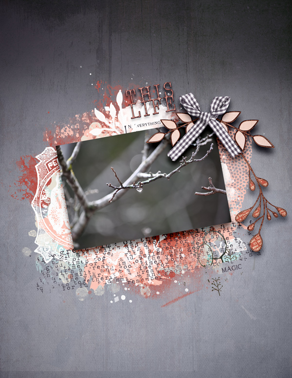 Asta Kit - Image 6