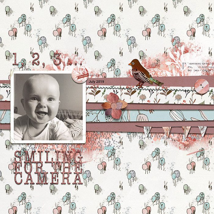 Asta Kit - Image 8