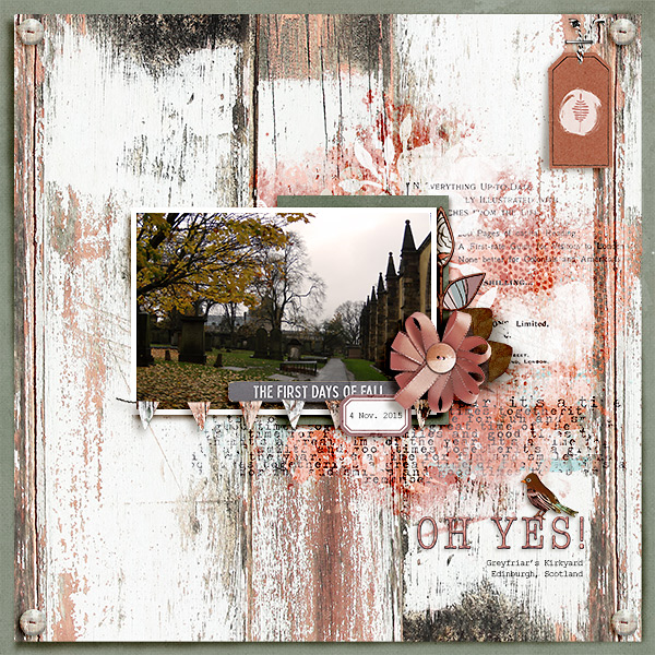 Asta Kit - Image 10